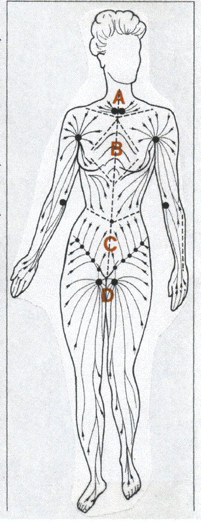 The direction of lymph flow on the front of the body is shown here and is always toward the nodes. Blockages create swelling and pain.
